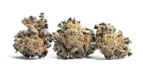 Animal Cookies