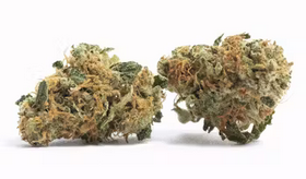 Animal OG