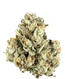 Berry Pie
