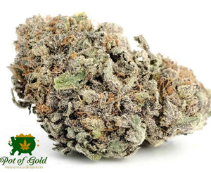 Blackberry Kush