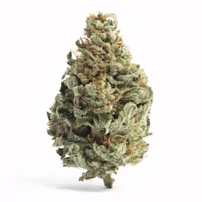 Chocolope
