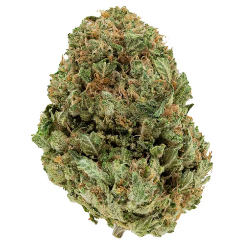 Coastal Pink - Smalls