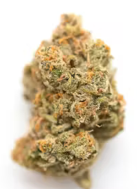Cream Soda