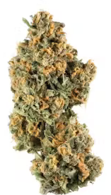 Critical Kush