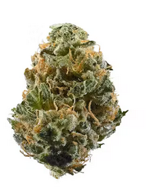 Dragon Berry