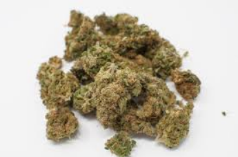 Edmonton Oil