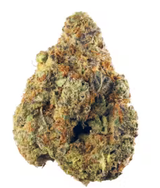 Gas - $100