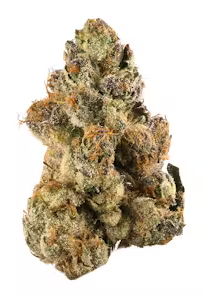 Gelato