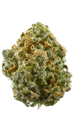 Ghost Bubba