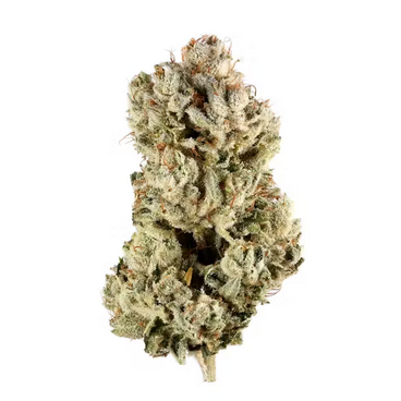 Gorilla Glue