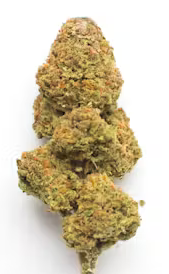 Jack The Ripper