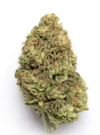 LA Kush