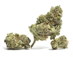 Lemon Skunk
