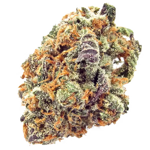 Mimosa
