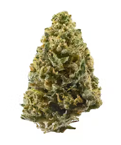 Northern Lights