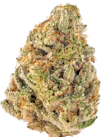 Pink Grapefruit