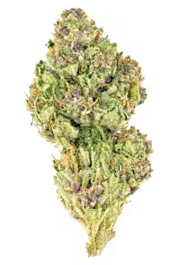 Pink Kush