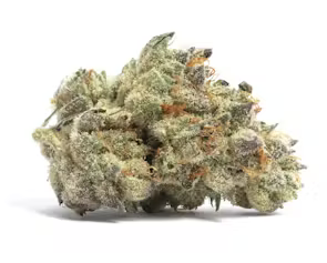 Purple Haze
