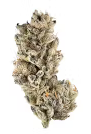 Purple Hindu Kush - Smalls