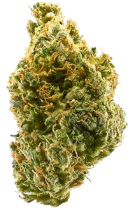 Tangie Power