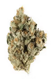 Tropical Cookies