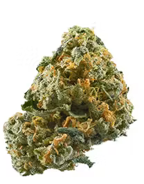 Wonka Bubba